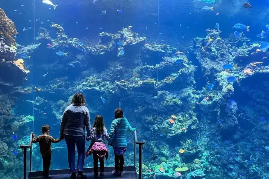 海湾附近有水族馆的家庭